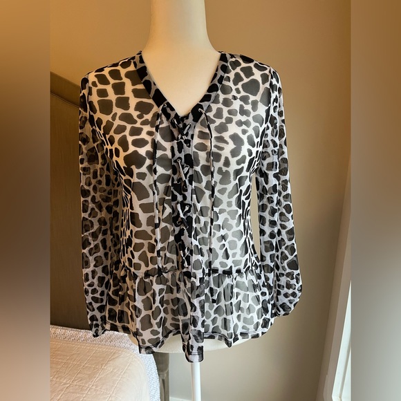 Sheer Blouse - Picture 2 of 3